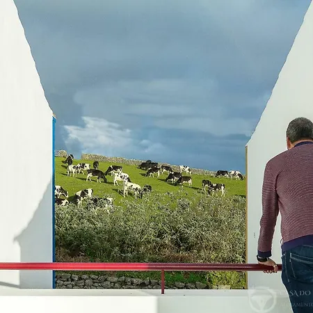 Feriehus Casa Do Pequeno Dragoeiro