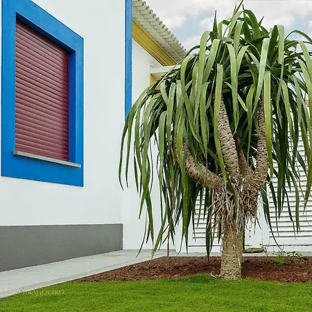 Casa Do Pequeno Dragoeiro *